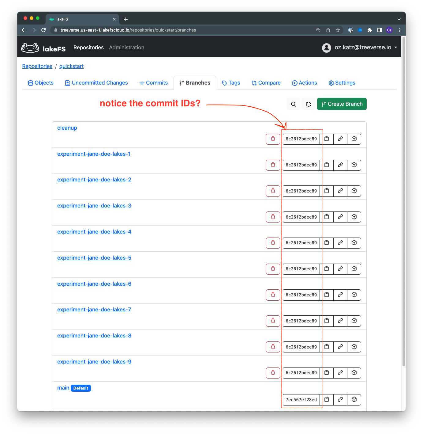 Verifying branches tab and commit ID in the lakeFS UI