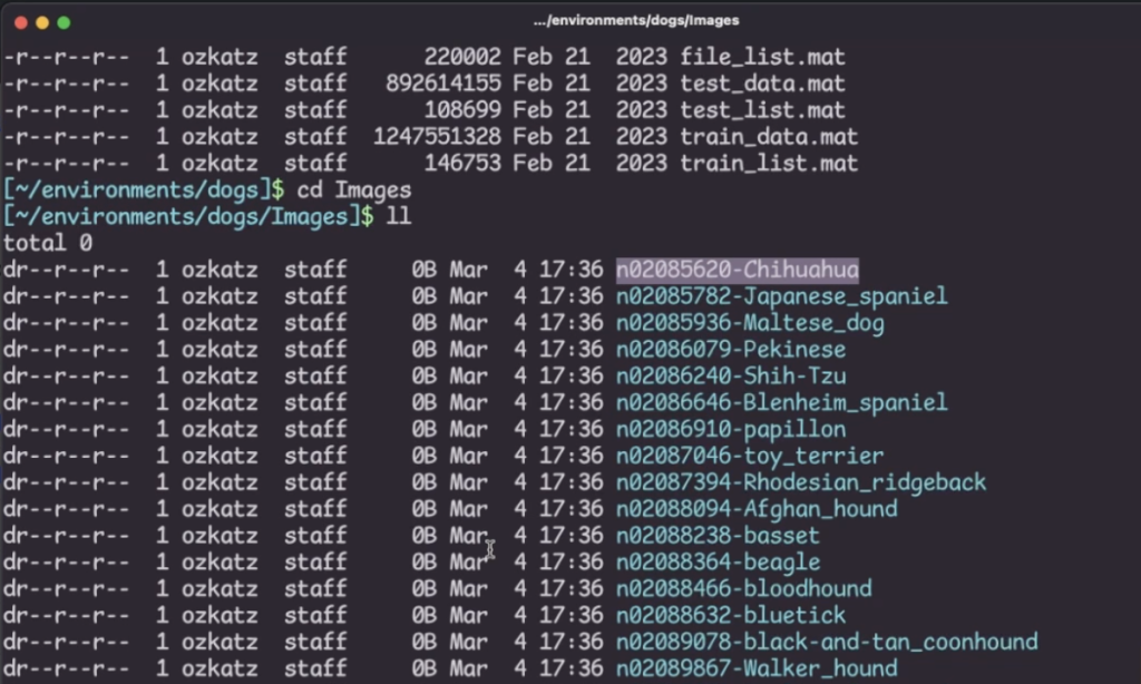 data preprocessing with lakeFS Mount