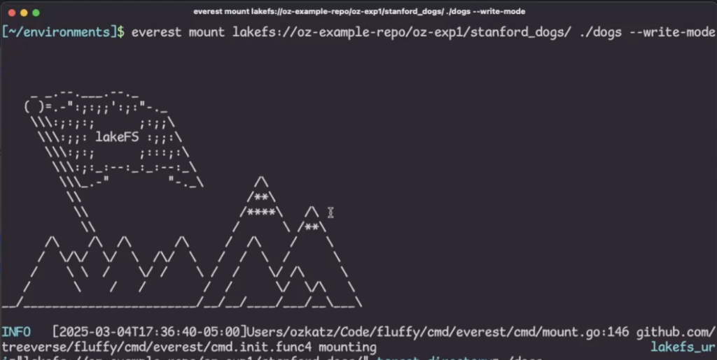 everest command line tool